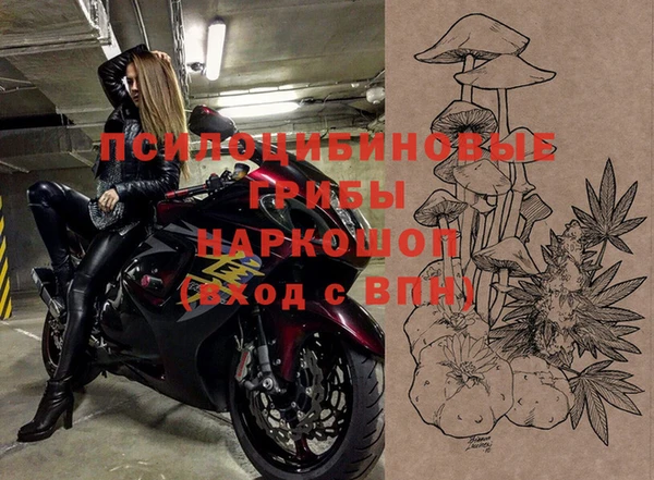 шишки Краснослободск
