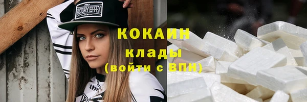 шишки Краснослободск