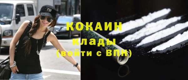 шишки Краснослободск