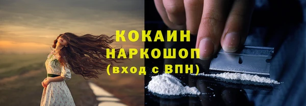 шишки Краснослободск