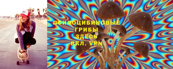 шишки Краснослободск