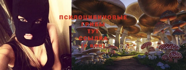 шишки Краснослободск